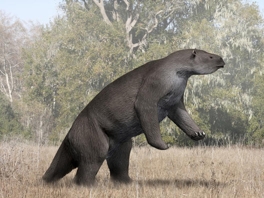 Megatherium Animal from Pleistocene Wall Decal