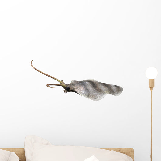 Nectocaris Is Extinct Animal Wall Decal