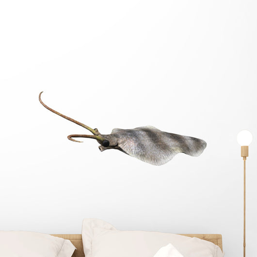 Nectocaris Is Extinct Animal Wall Decal