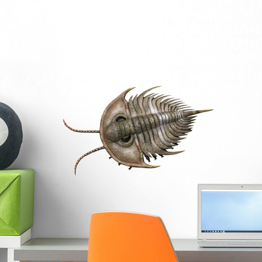 Olenellus Is Extinct Trilobite Wall Decal