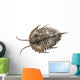 Olenellus Is Extinct Trilobite Wall Decal