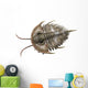 Olenellus Is Extinct Trilobite Wall Decal