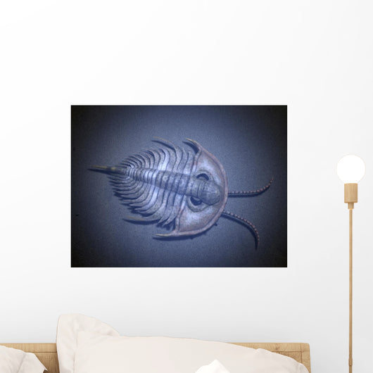 Olenellus Is Extinct Trilobite Water Wall Decal
