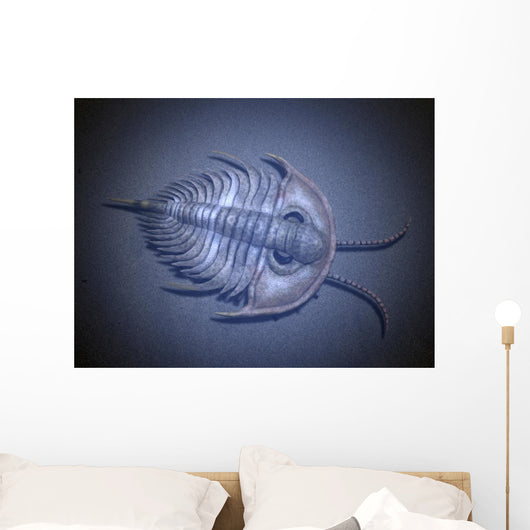 Olenellus Is Extinct Trilobite Water Wall Decal