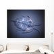 Olenellus Is Extinct Trilobite Water Wall Decal