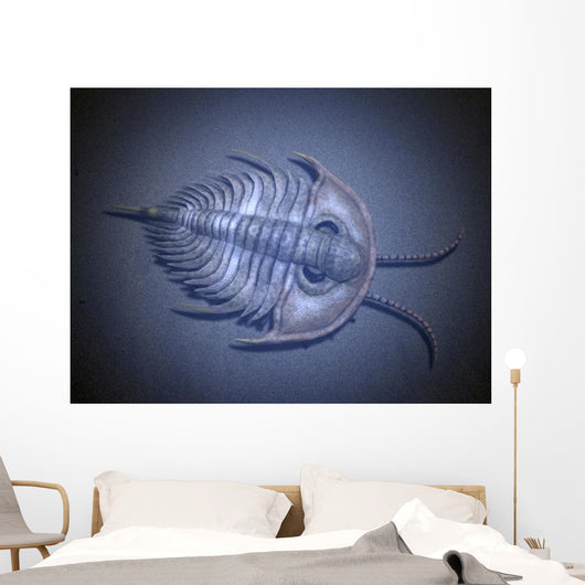 Olenellus Is Extinct Trilobite Water Wall Decal