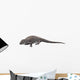 Ophiacodon Is Extinct Synapsid Wall Decal