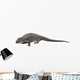 Ophiacodon Is Extinct Synapsid Wall Decal