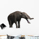 Platybelodon Grangeri Is Large Wall Decal