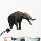 Platybelodon Grangeri Is Large Wall Decal