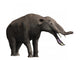 Platybelodon Grangeri Is Large Wall Decal
