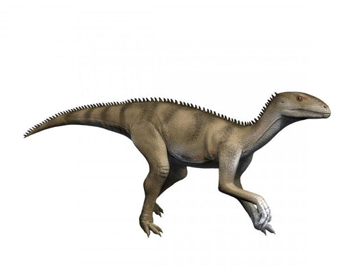 Sacisaurus Is Extinct Dinosaur Wall Decal