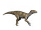 Sacisaurus Is Extinct Dinosaur Wall Decal