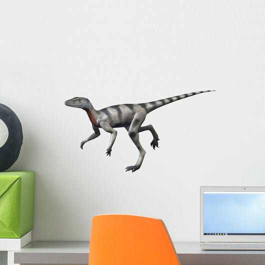 Saltopus Is Extinct Dinosaur Wall Decal