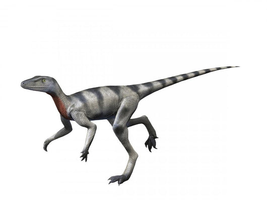 Saltopus Is Extinct Dinosaur Wall Decal