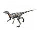 Saltopus Is Extinct Dinosaur Wall Decal