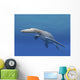 Simolestes Is Extinct Pliosaur Wall Decal