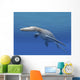 Simolestes Is Extinct Pliosaur Wall Decal