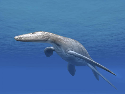 Simolestes Is Extinct Pliosaur Wall Decal