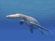 Simolestes Is Extinct Pliosaur Wall Decal