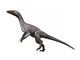 Tawa Hallae Is Theropod Wall Decal