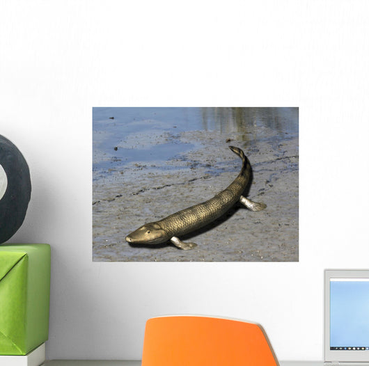 Tiktaalik Is Extinct Lobe-finned Wall Decal