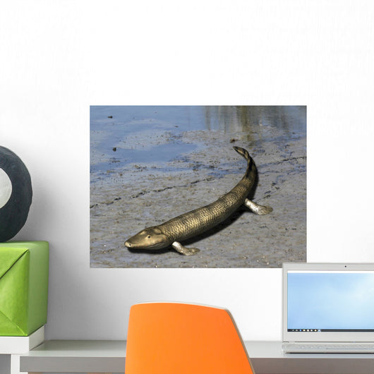 Tiktaalik Is Extinct Lobe-finned Wall Decal