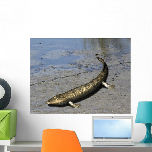 Tiktaalik Is Extinct Lobe-finned Wall Decal