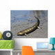 Tiktaalik Is Extinct Lobe-finned Wall Decal