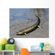Tiktaalik Is Extinct Lobe-finned Wall Decal
