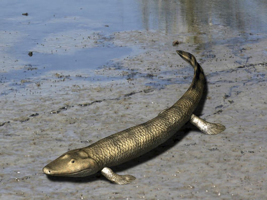 Tiktaalik Is Extinct Lobe-finned Wall Decal
