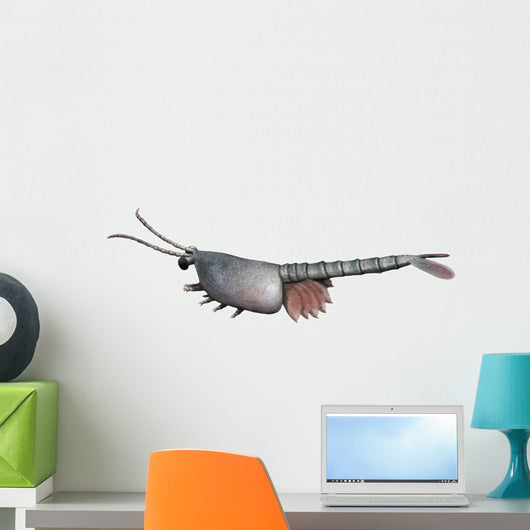 Waptia Is Extinct Arthropod Wall Decal