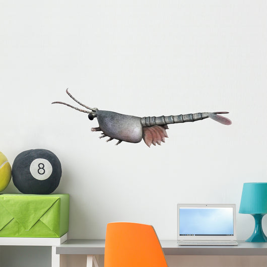 Waptia Is Extinct Arthropod Wall Decal
