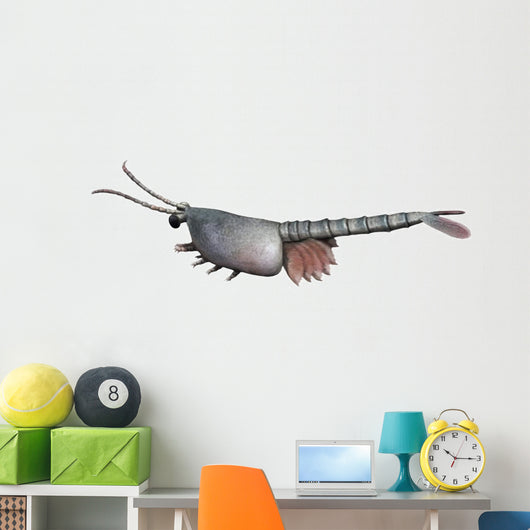 Waptia Is Extinct Arthropod Wall Decal