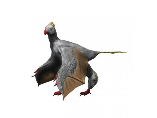 Yi Qi Is Extinct Wall Decal