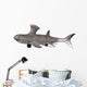 Akmonistion Is Extinct Shark Wall Decal