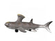 Akmonistion Is Extinct Shark Wall Decal