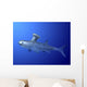Akmonistion Is Extinct Shark Water Wall Decal