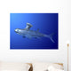 Akmonistion Is Extinct Shark Water Wall Decal
