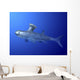 Akmonistion Is Extinct Shark Water Wall Decal
