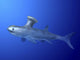 Akmonistion Is Extinct Shark Water Wall Decal