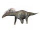 Amargasaurus Is Sauropod Dinosaur Wall Decal