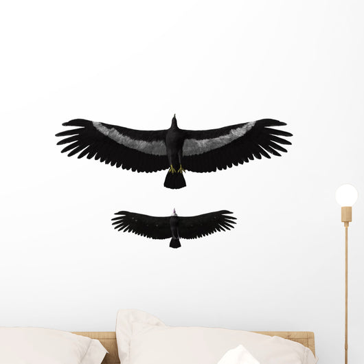Argentavis Magnificens Compared to Wall Decal
