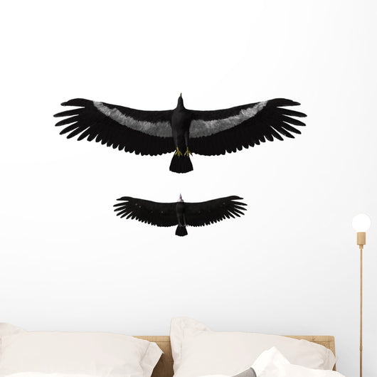 Argentavis Magnificens Compared to Wall Decal