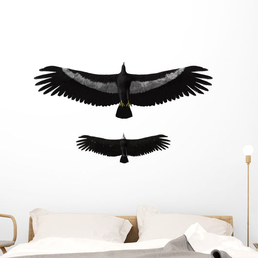 Argentavis Magnificens Compared to Wall Decal