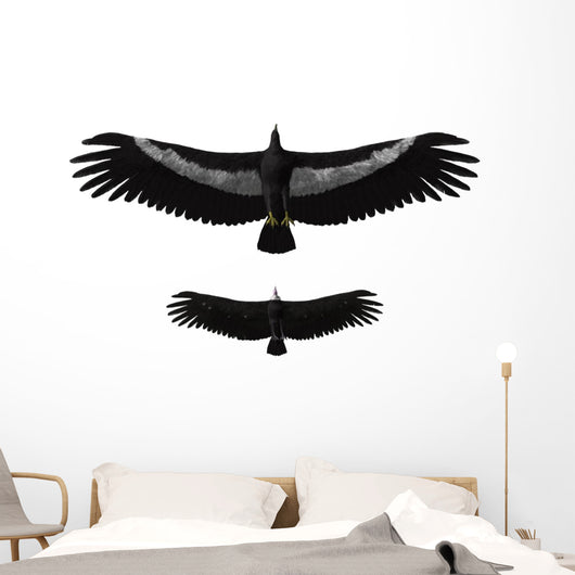 Argentavis Magnificens Compared to Wall Decal