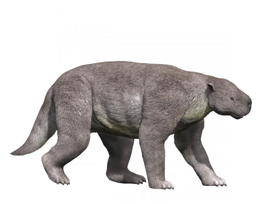 Barylambda Is Pantodont Mammal Wall Decal