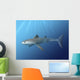 Cladoselache Fyleri Is Extinct Water Wall Decal