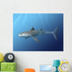 Cladoselache Fyleri Is Extinct Water Wall Decal