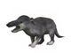 Deinogalerix Koenigswaldi Wall Decal
